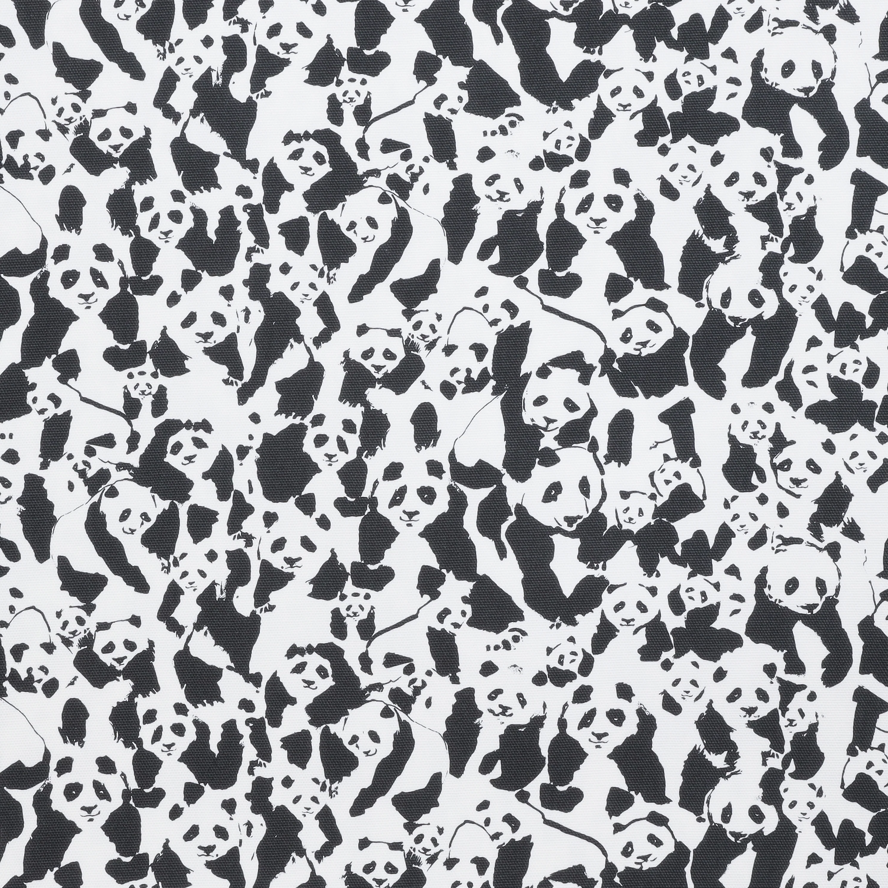 AGF - Canvas - Panalicious - Panalings Pod - Image 2