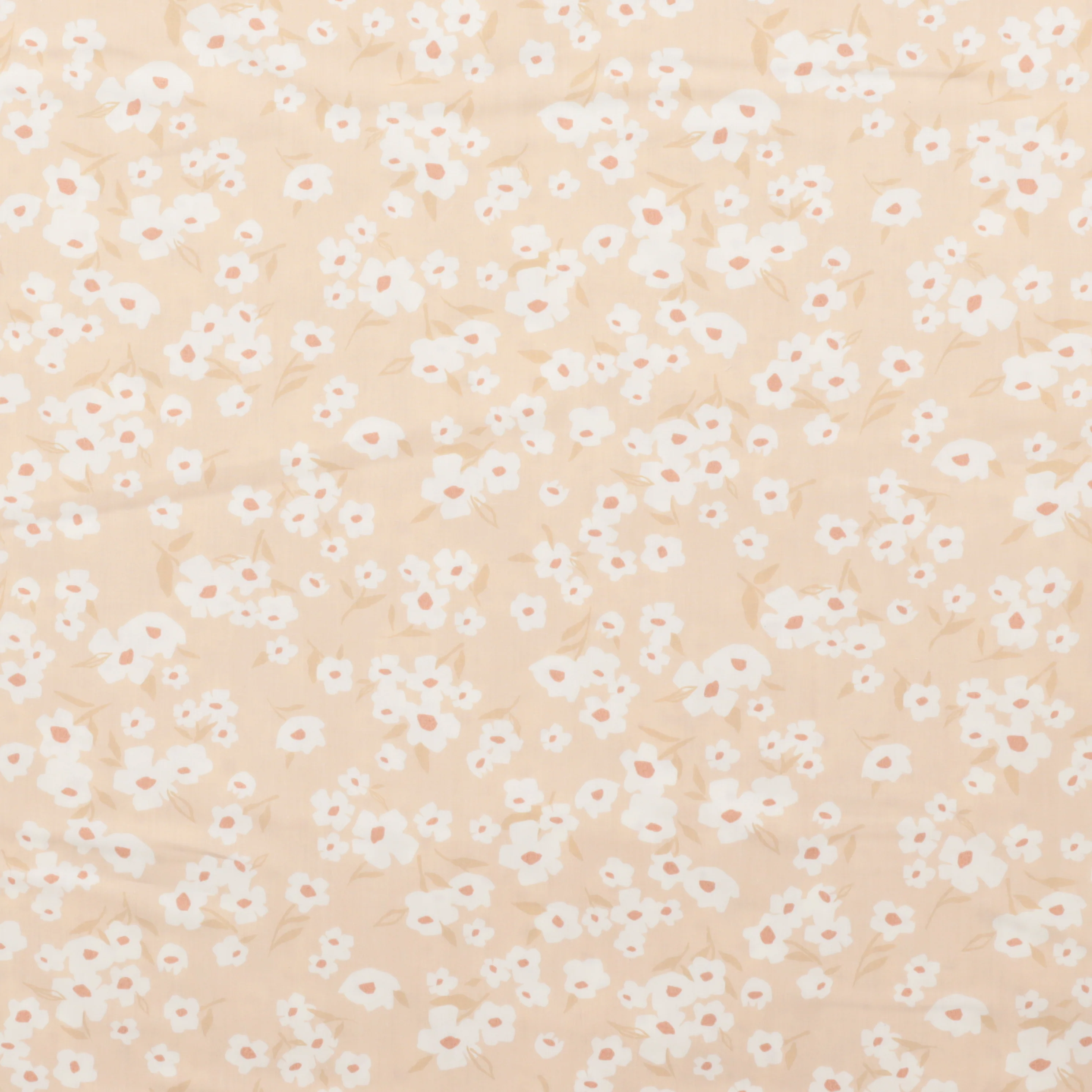 AGF - Cotton - 108 Edition - Spring Daisies - Ecru - Image 2