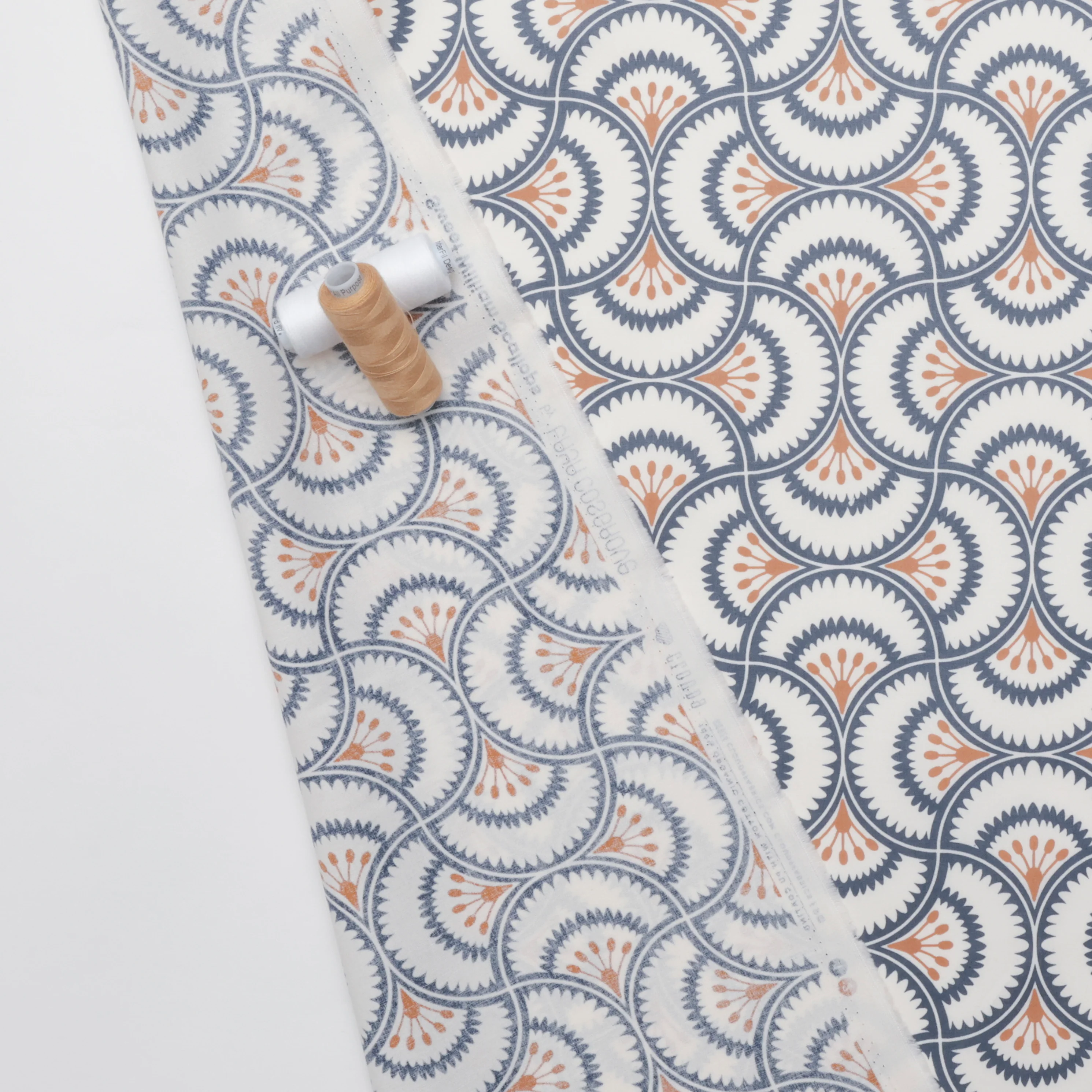 Cloud 9 - Organic Cotton - Laminated - Sweet William Scallops - Image 3
