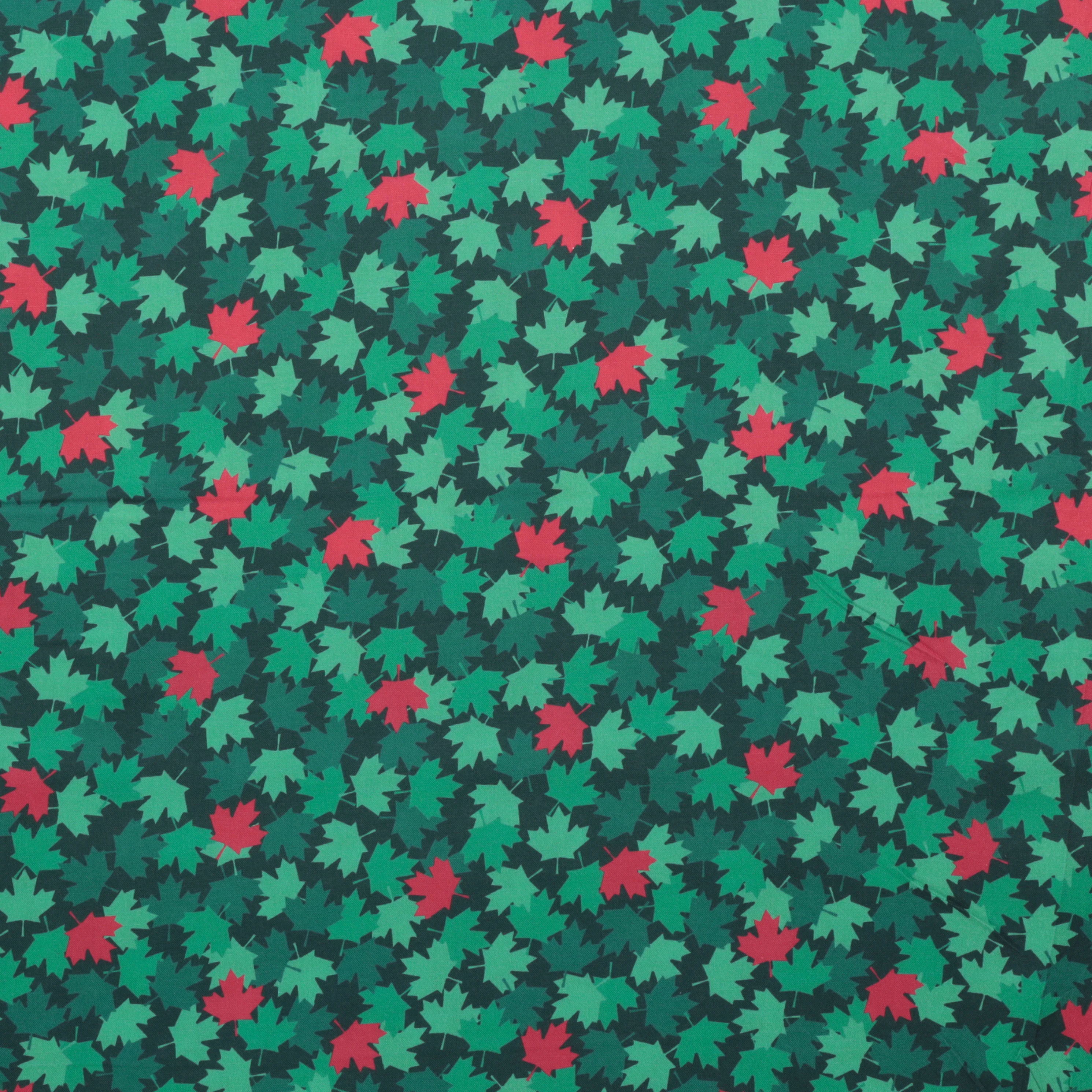 Cotton - Festive Canada - Maple Leaf - Green - Image 2