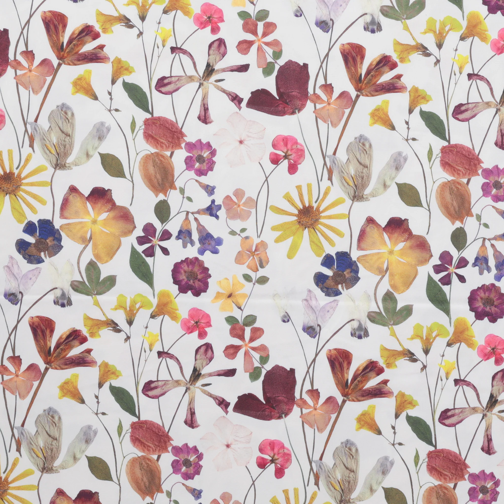 Cotton - Sateen - Digital Print - Multi - Image 2