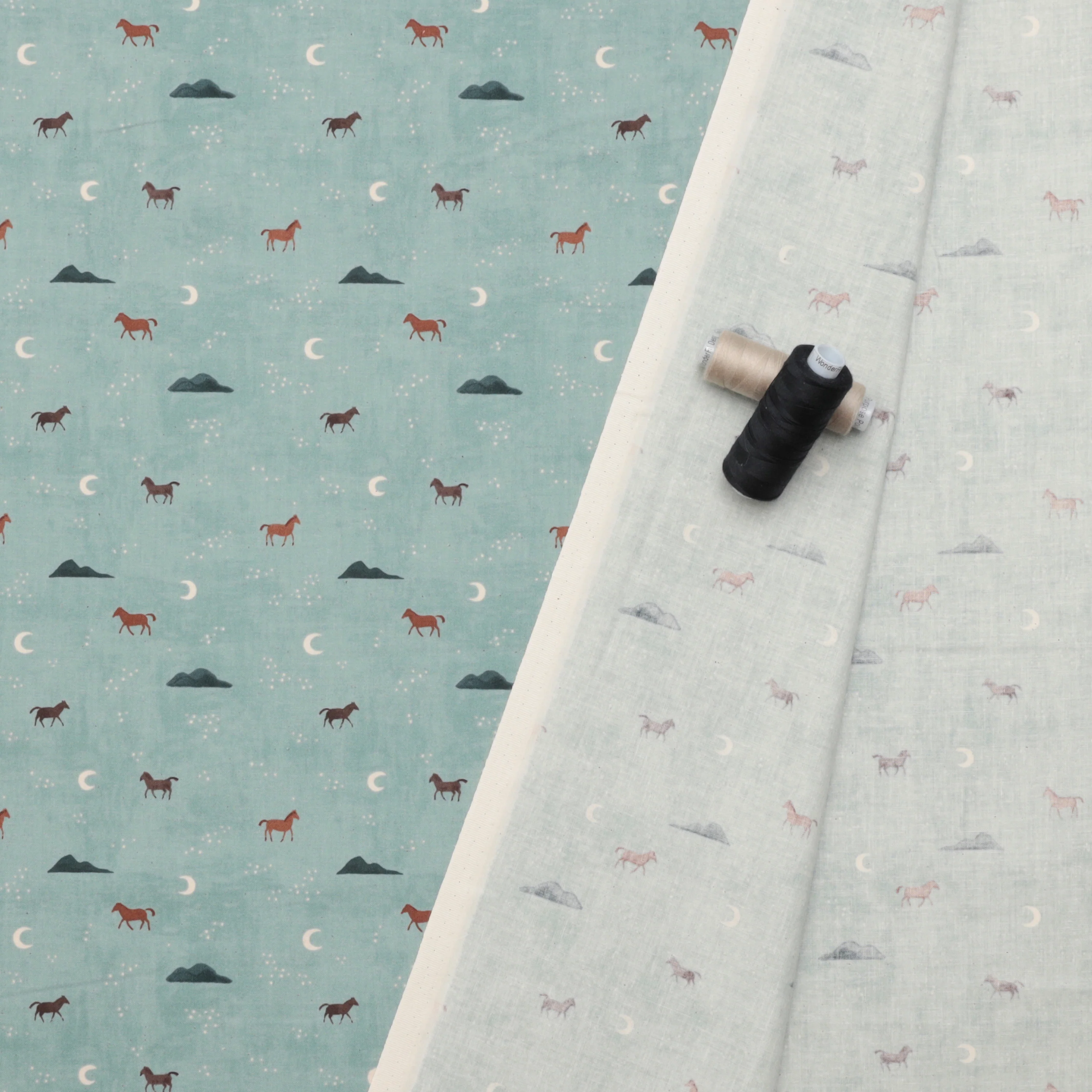Cotton + Steel - Cotton - Salt River - Can Run For Miles - Image 3