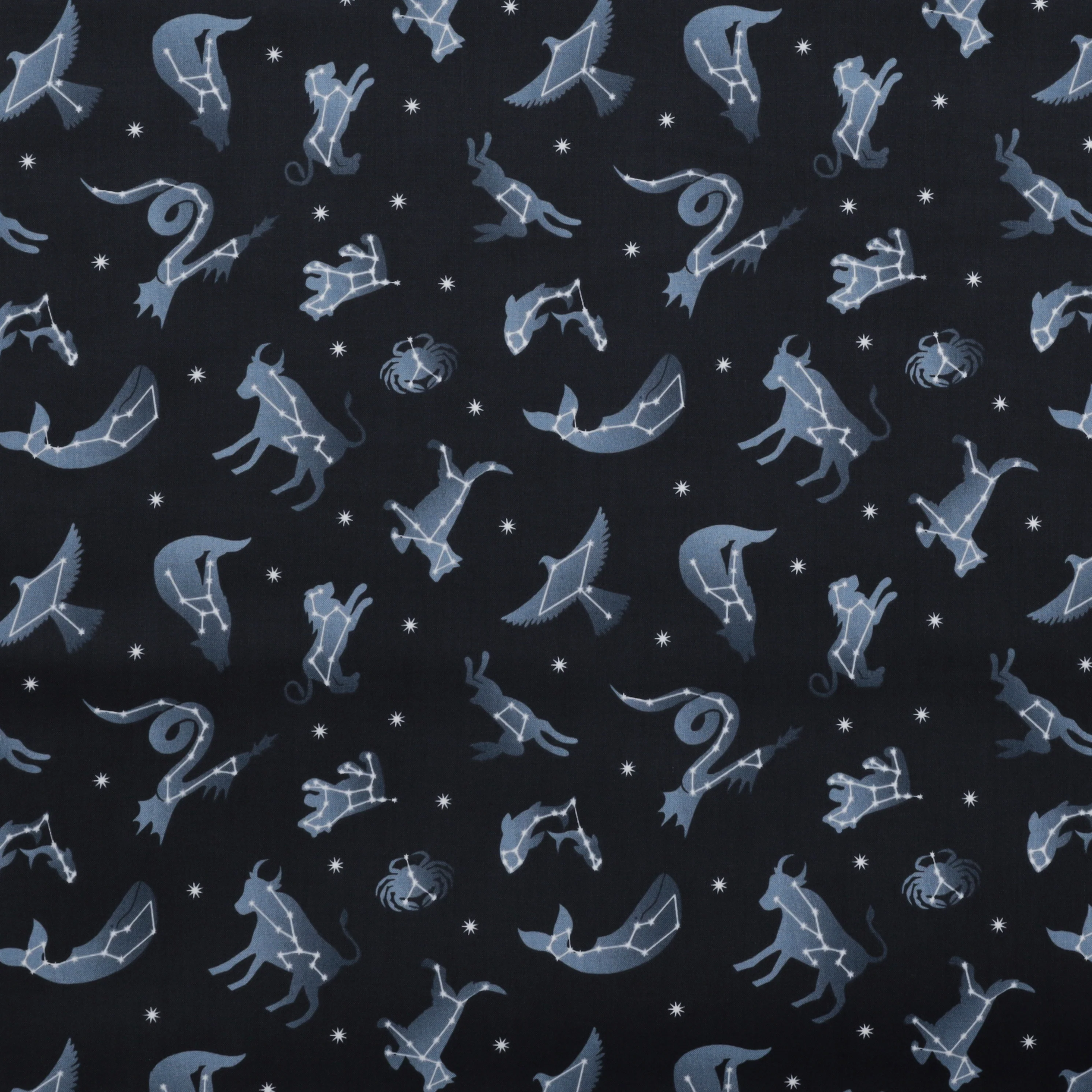 Lewis & Irene - Cotton - Space Glow - Constellations - Dark - Image 2