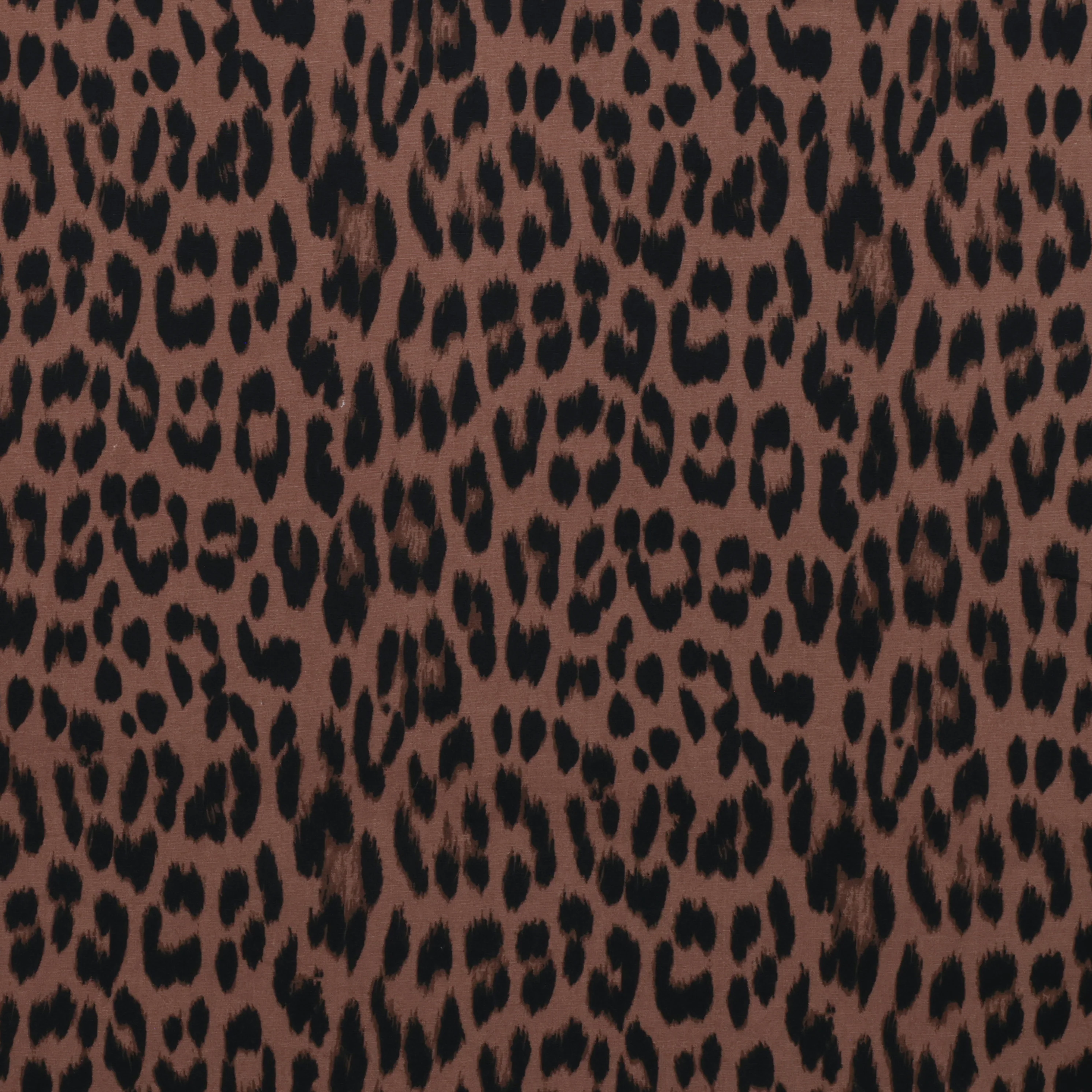 Organic Cotton - Charlie Print - Mocha - Image 2