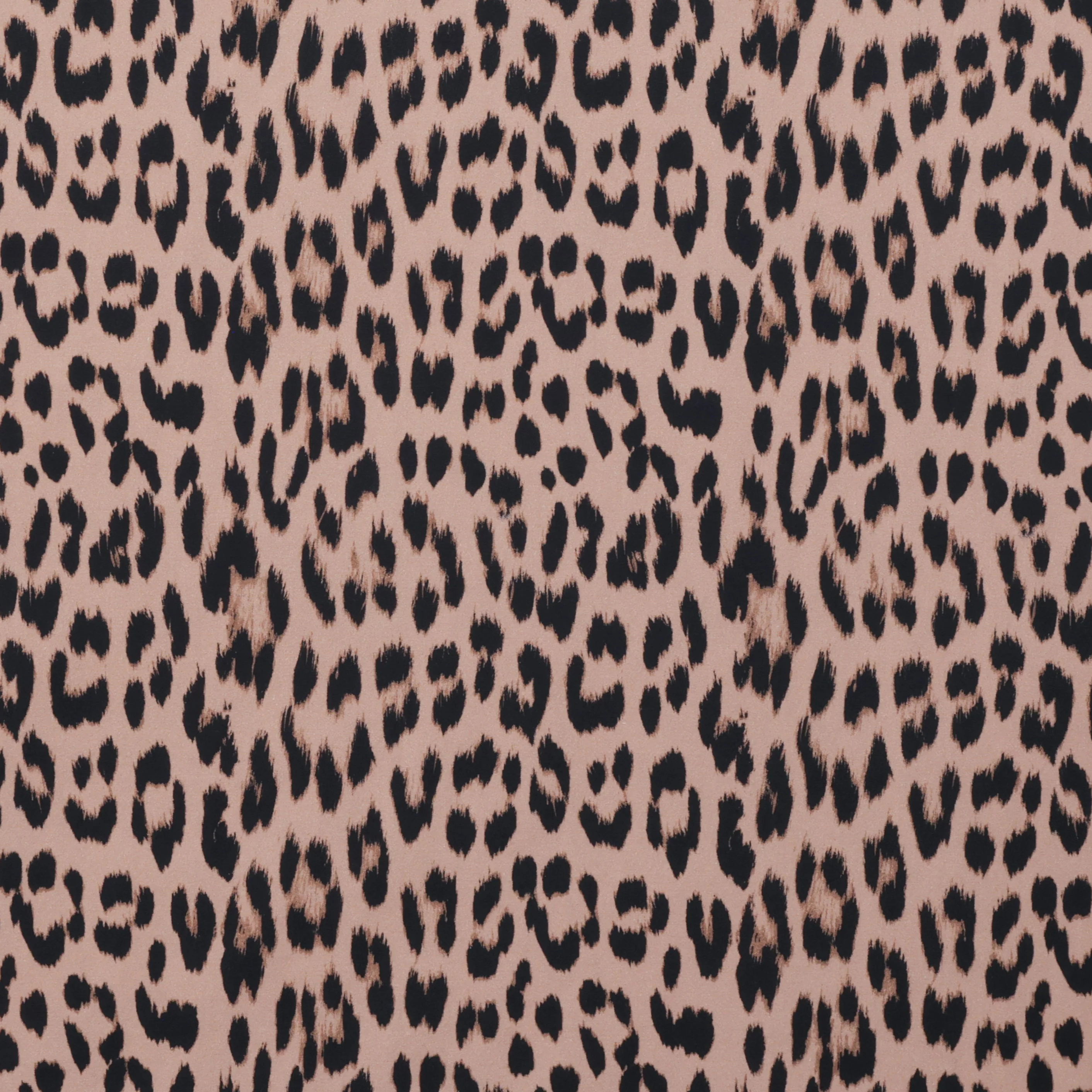 Organic Cotton - Charlie Print - Natural - Image 2