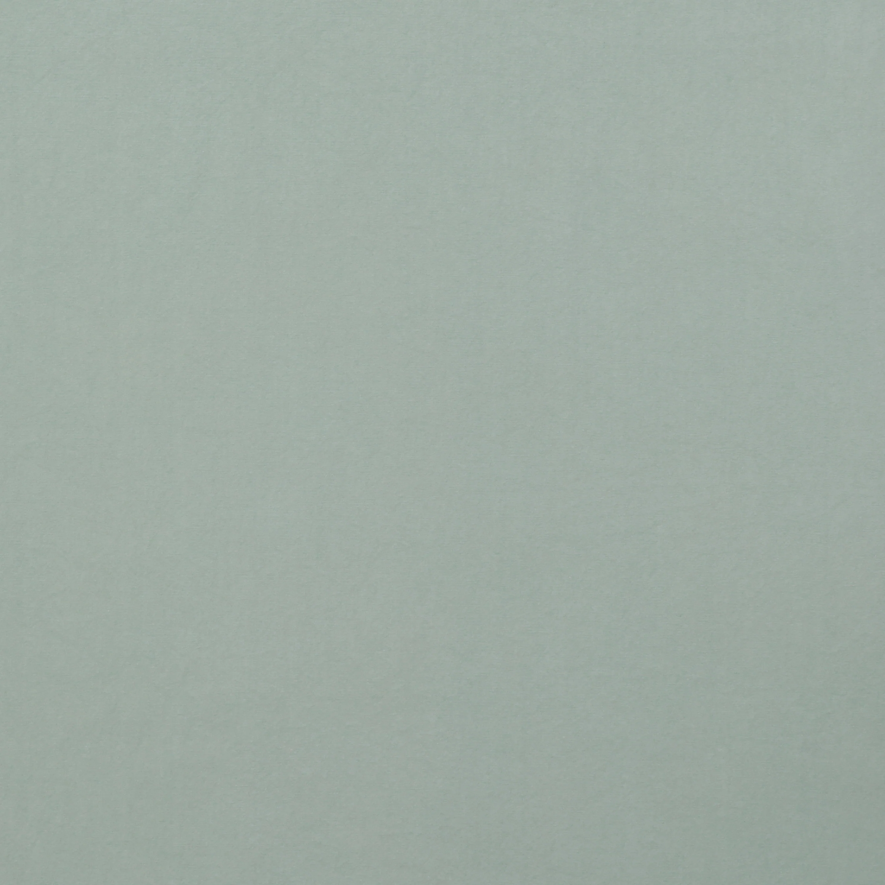Organic Cotton - Heavy Washed Finish - Assorted - Image 7