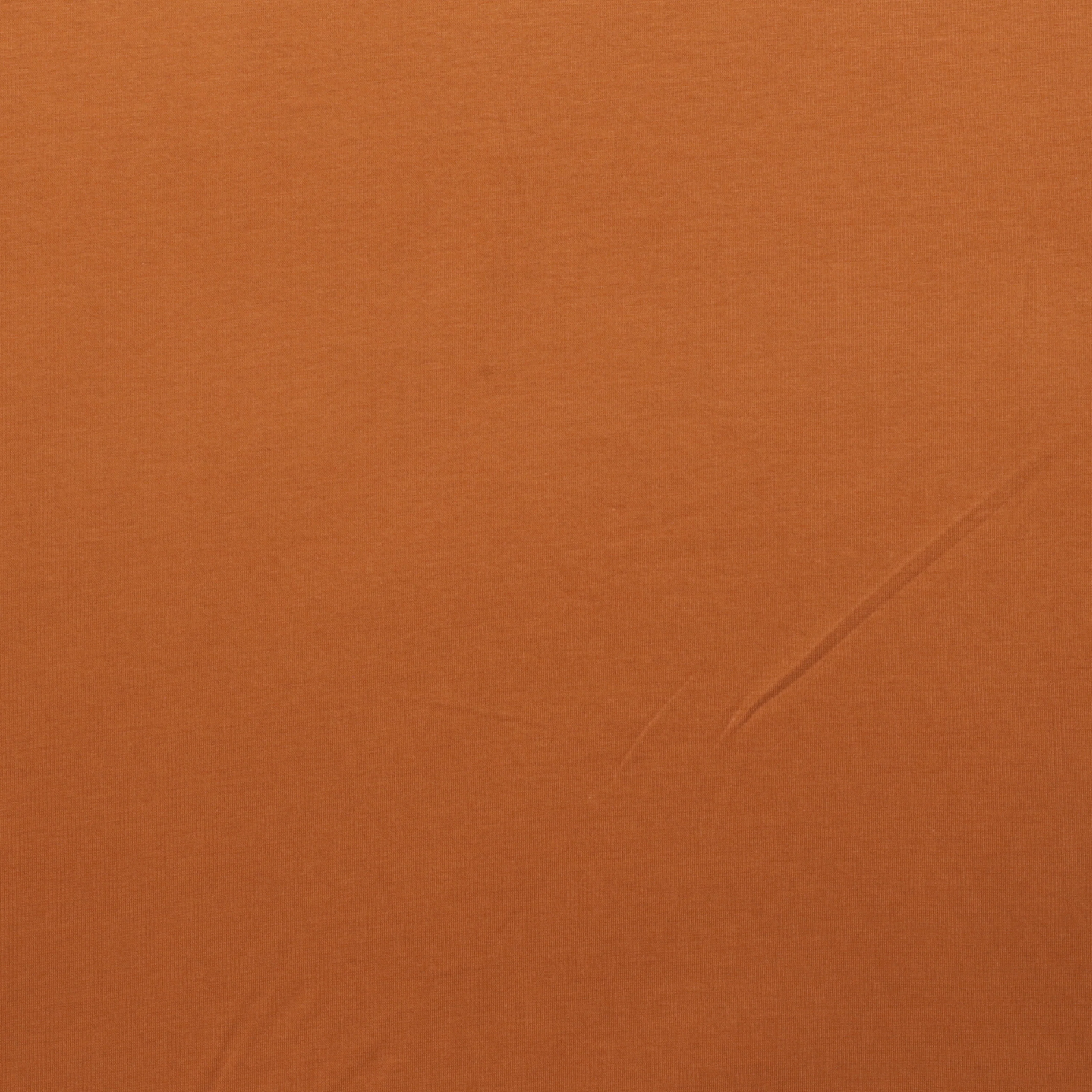 Organic Cotton - Rib - Assorted - Image 6