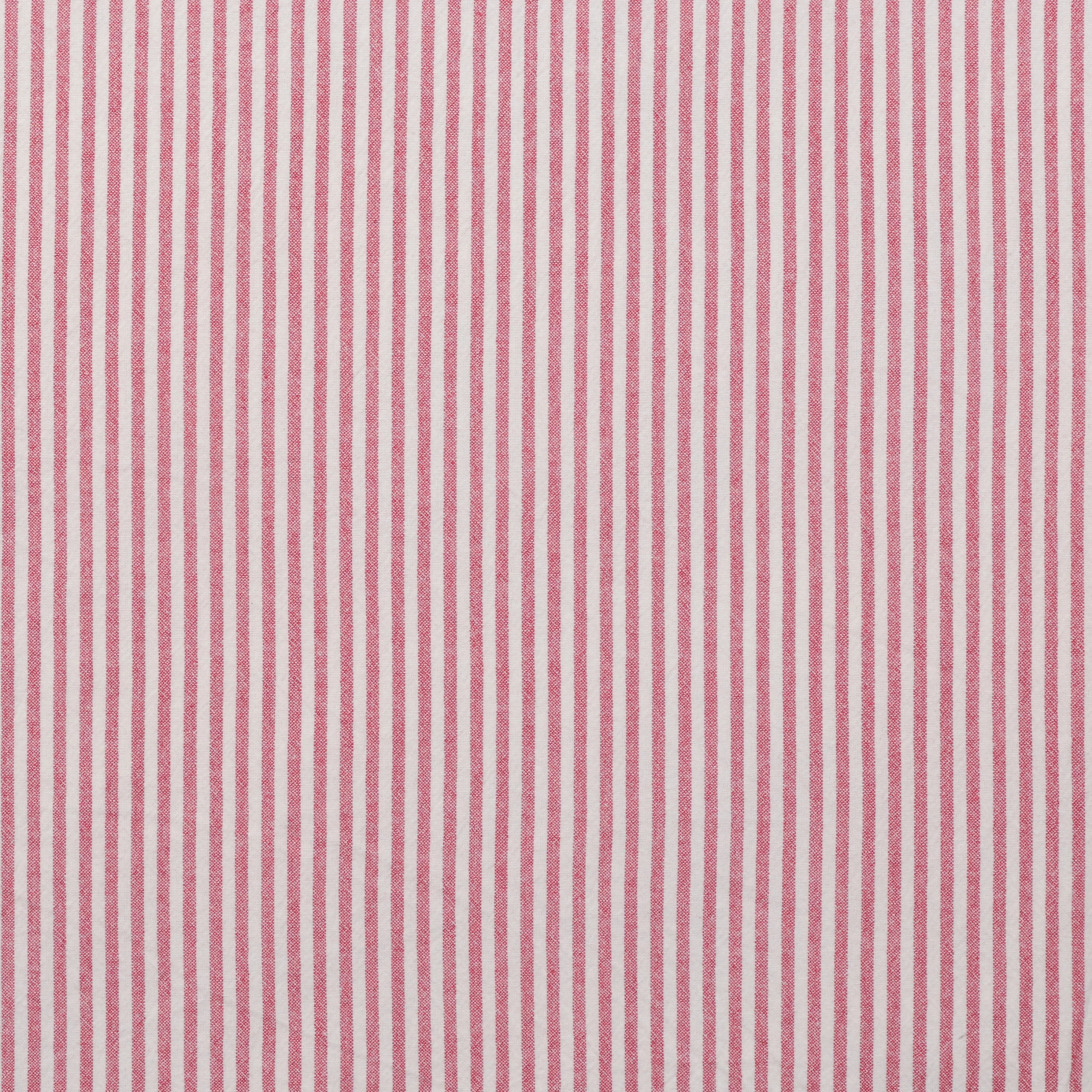 Organic Cotton - Stripe - Assorted - Image 3