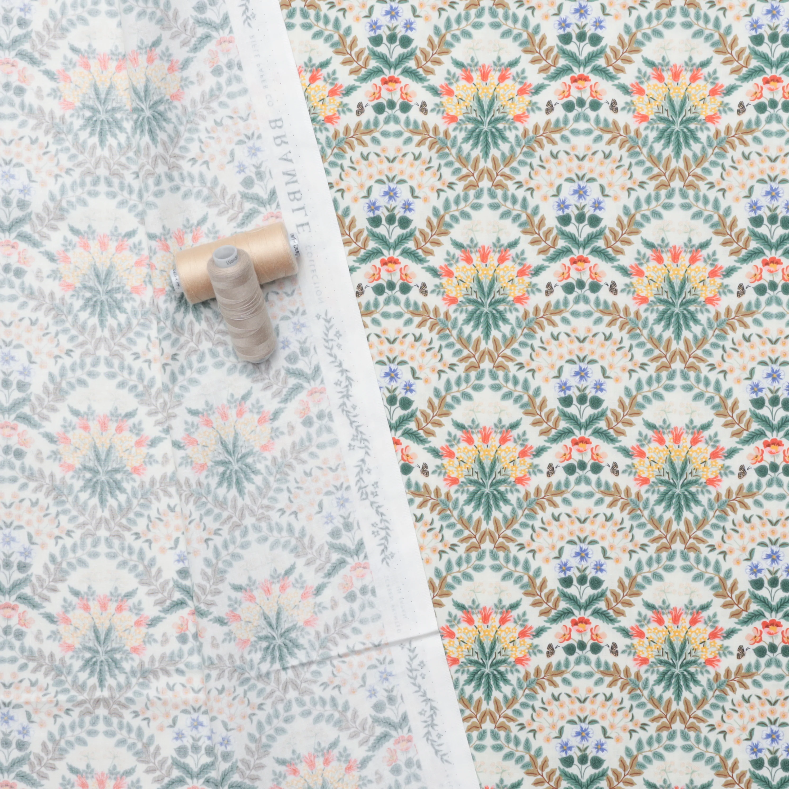 Rifle Paper Co. - Cotton - Bramble - Cream - Image 3