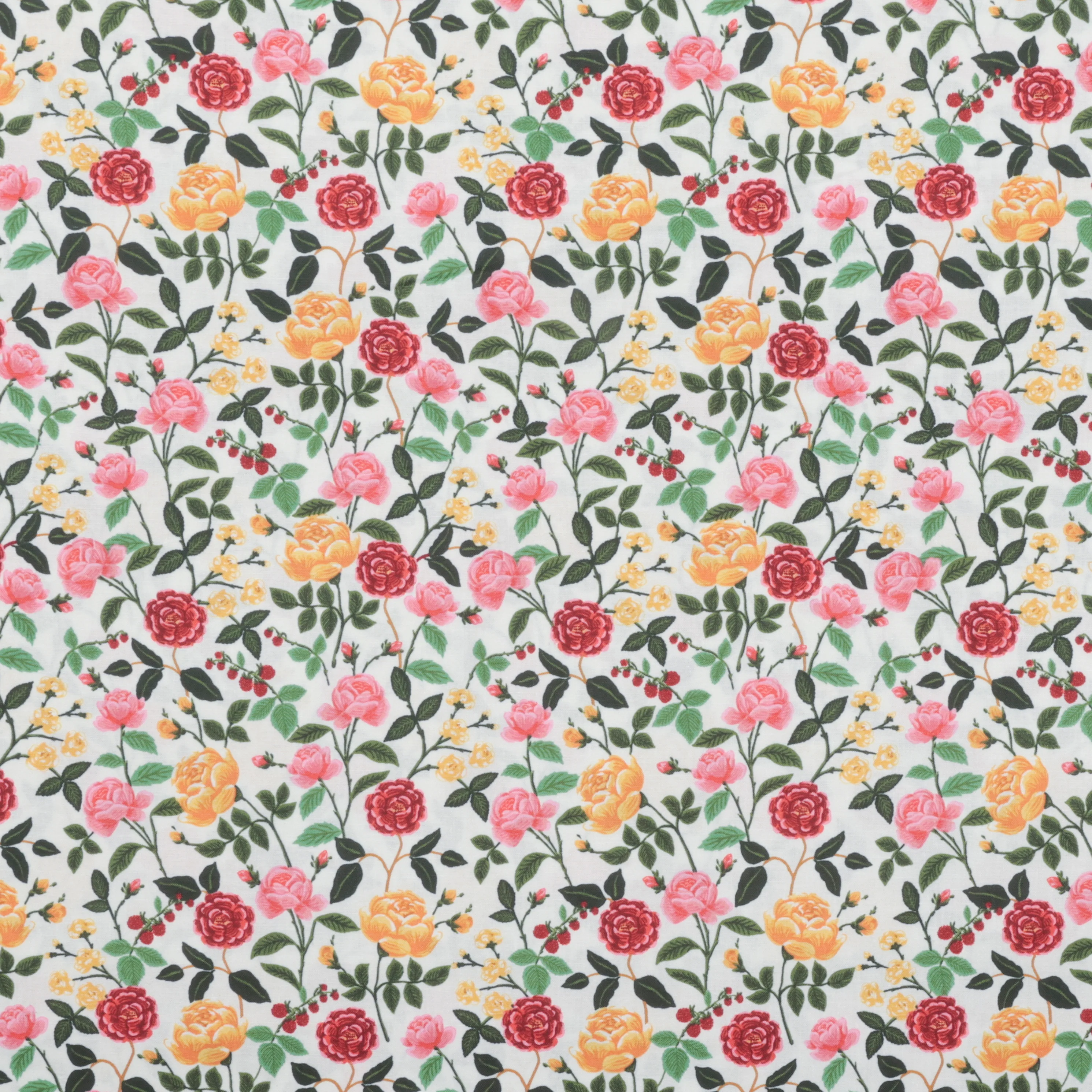 Rifle Paper Co. - Cotton - English Rose - Roses - Cream - Image 2