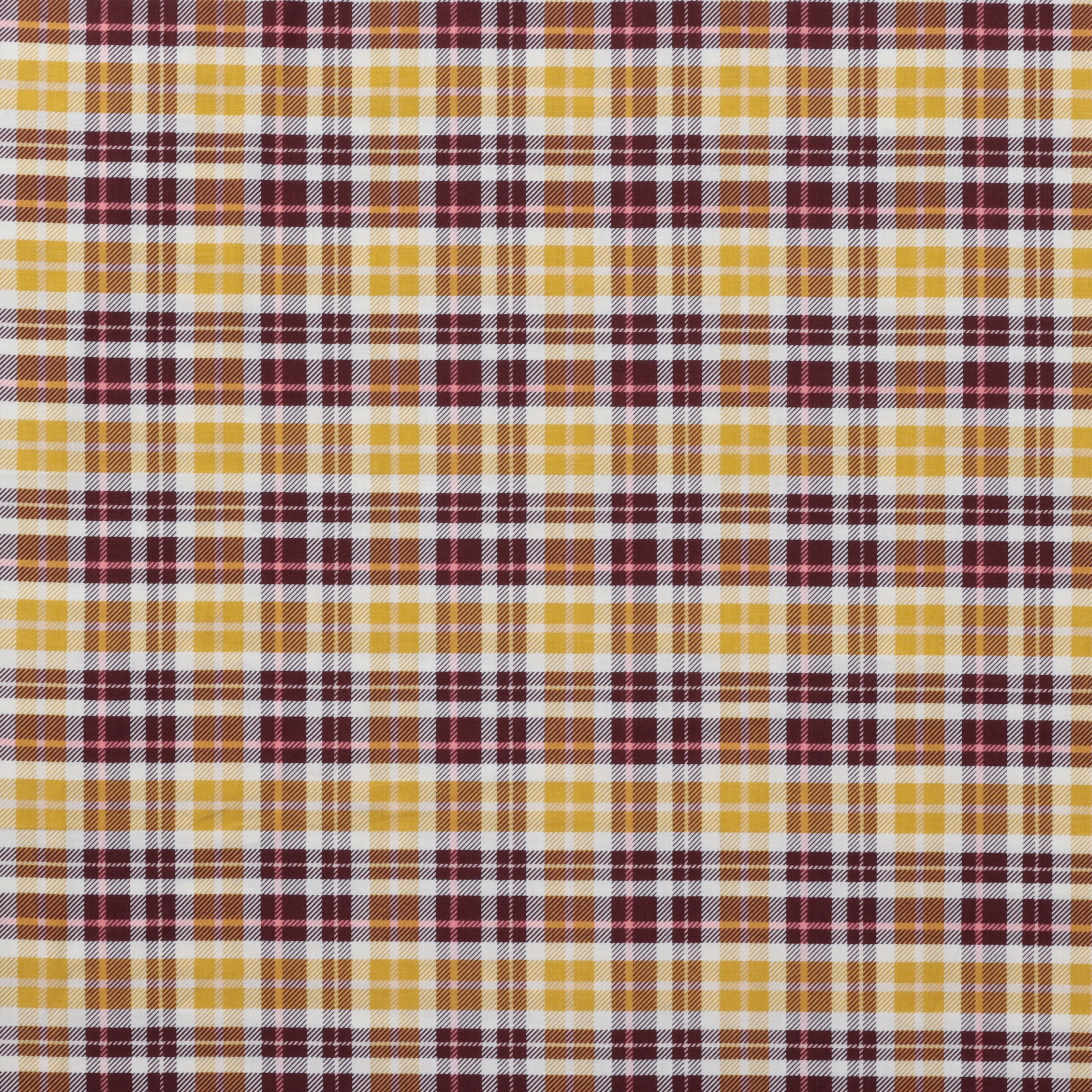 RJR Fabrics - Cotton - Whimsy & Lore - Why Are You Hiding - Image 2