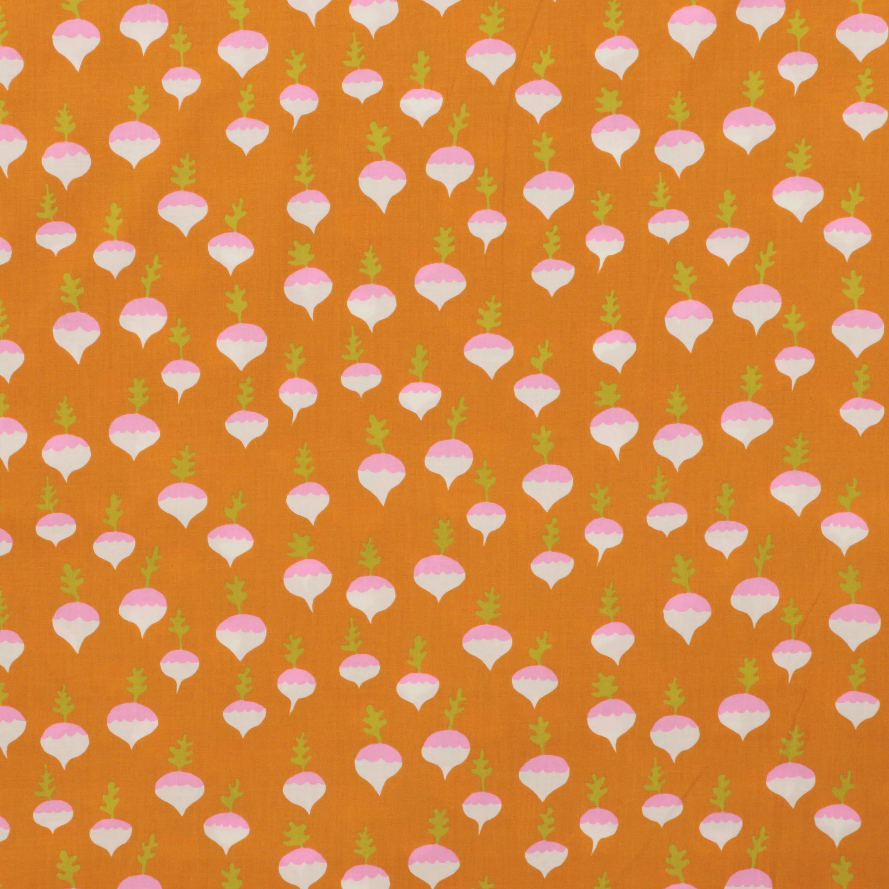 Ruby Star - Cotton - Petunia - Radish - Honey - Image 2
