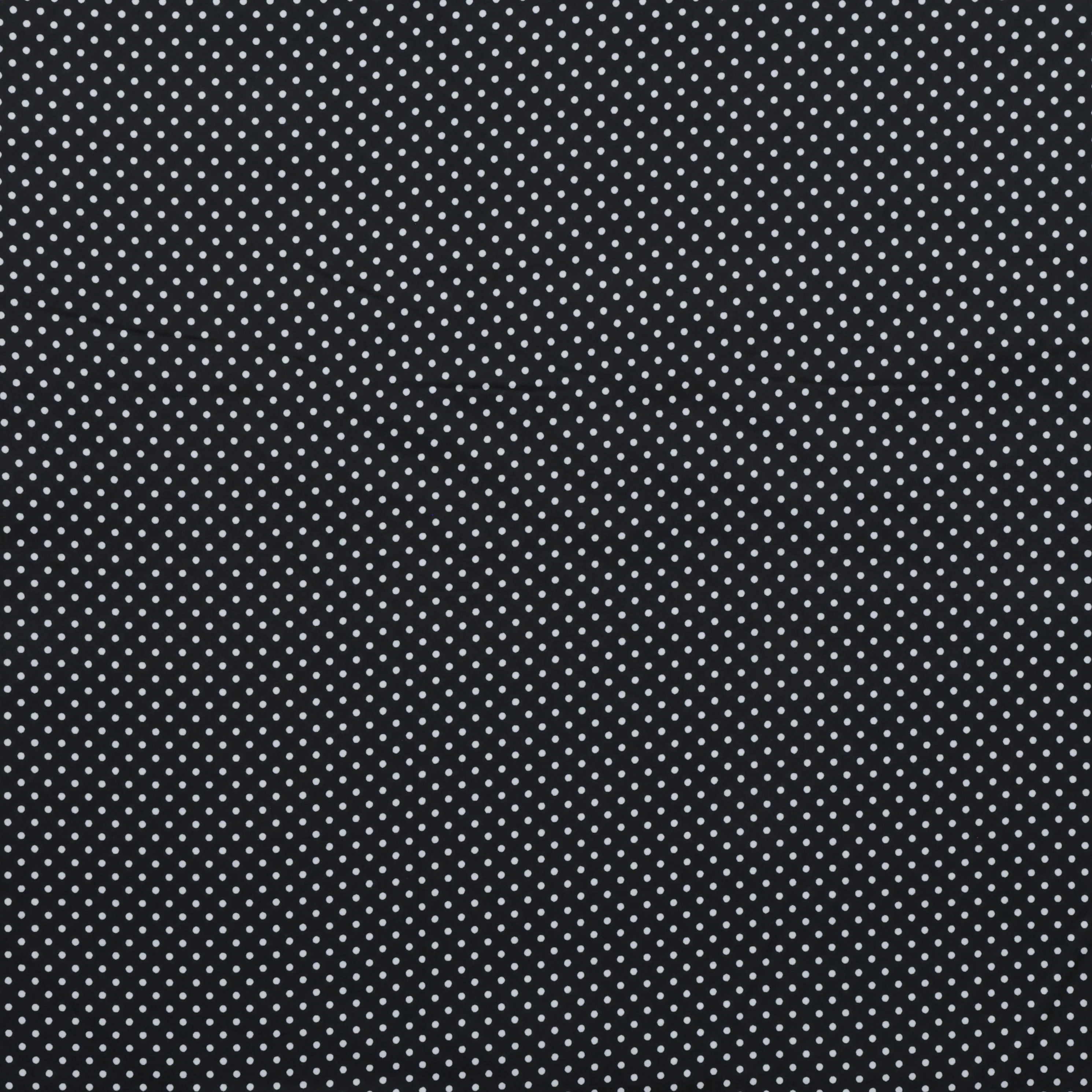 Sevenberry - Cotton - Petite Basics - Polka Dot - Black - Image 2