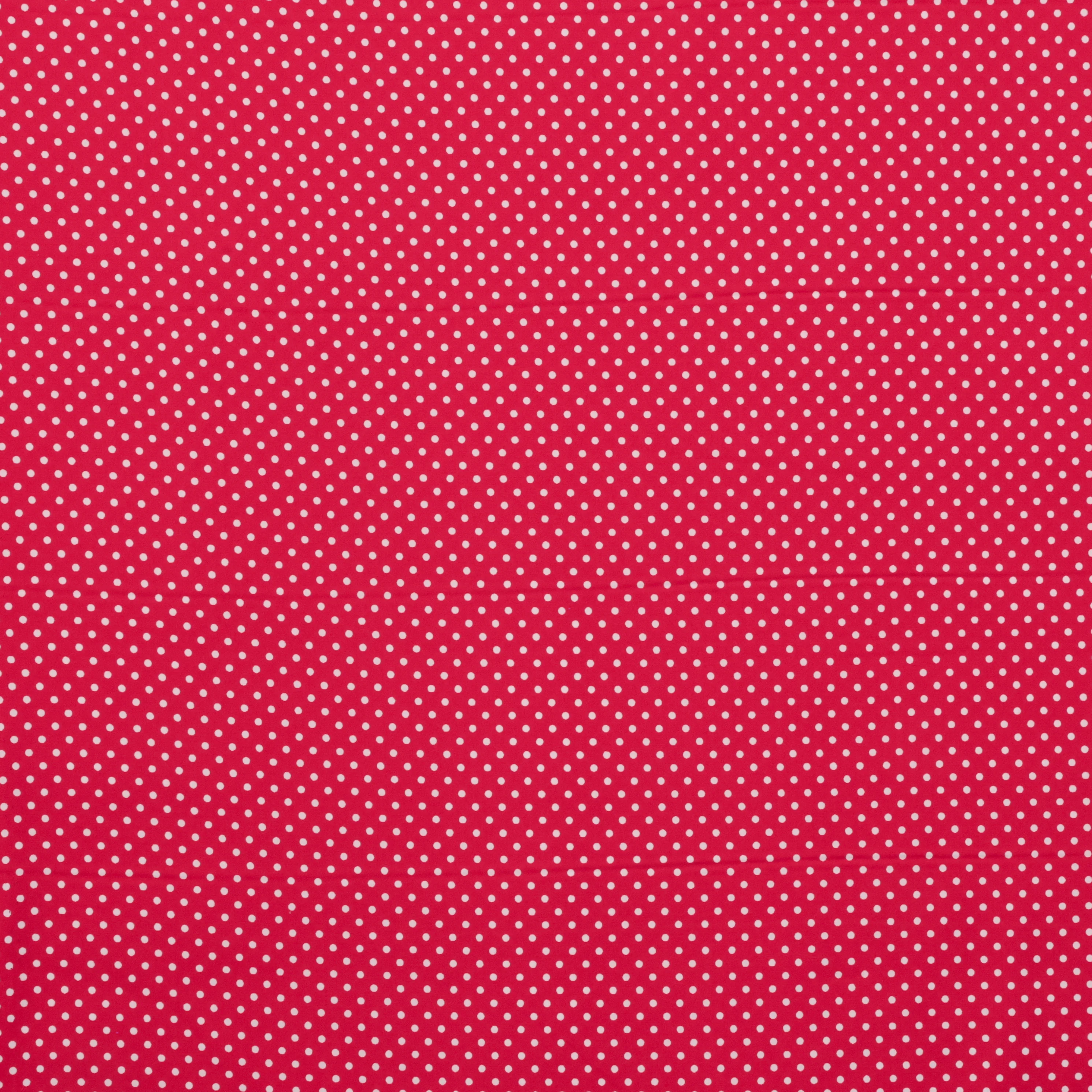 Sevenberry - Cotton - Petite Basics - Polka Dot - Red - Image 2