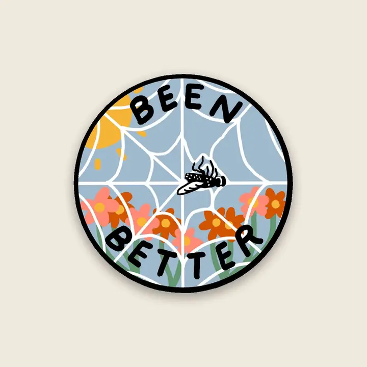 Stay Home Club - Vinyl Sticker - Been Better (Spiderweb) - Image 2