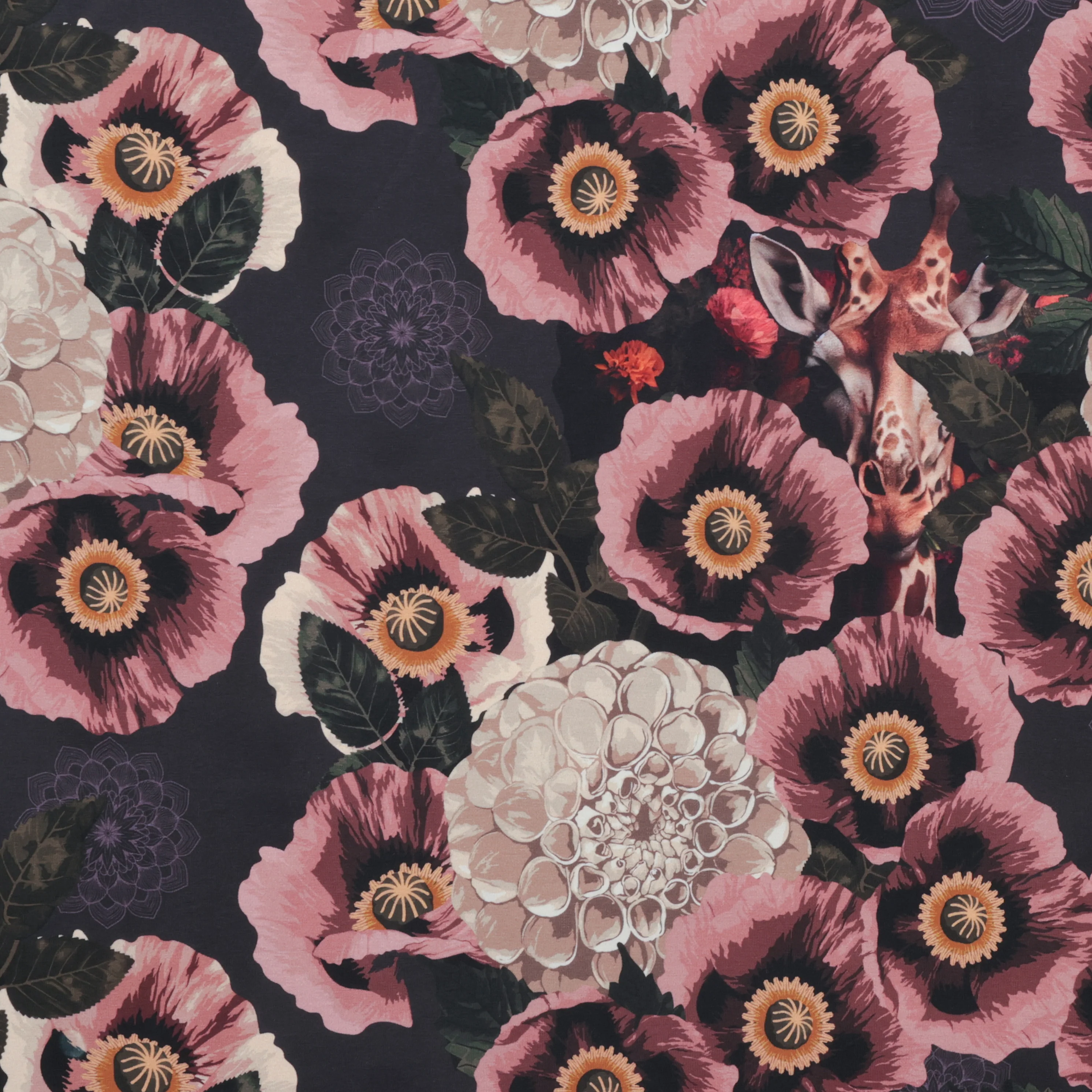 Stof - Cotton - Avalana - Jersey - Dahlia Giraffe - Image 2