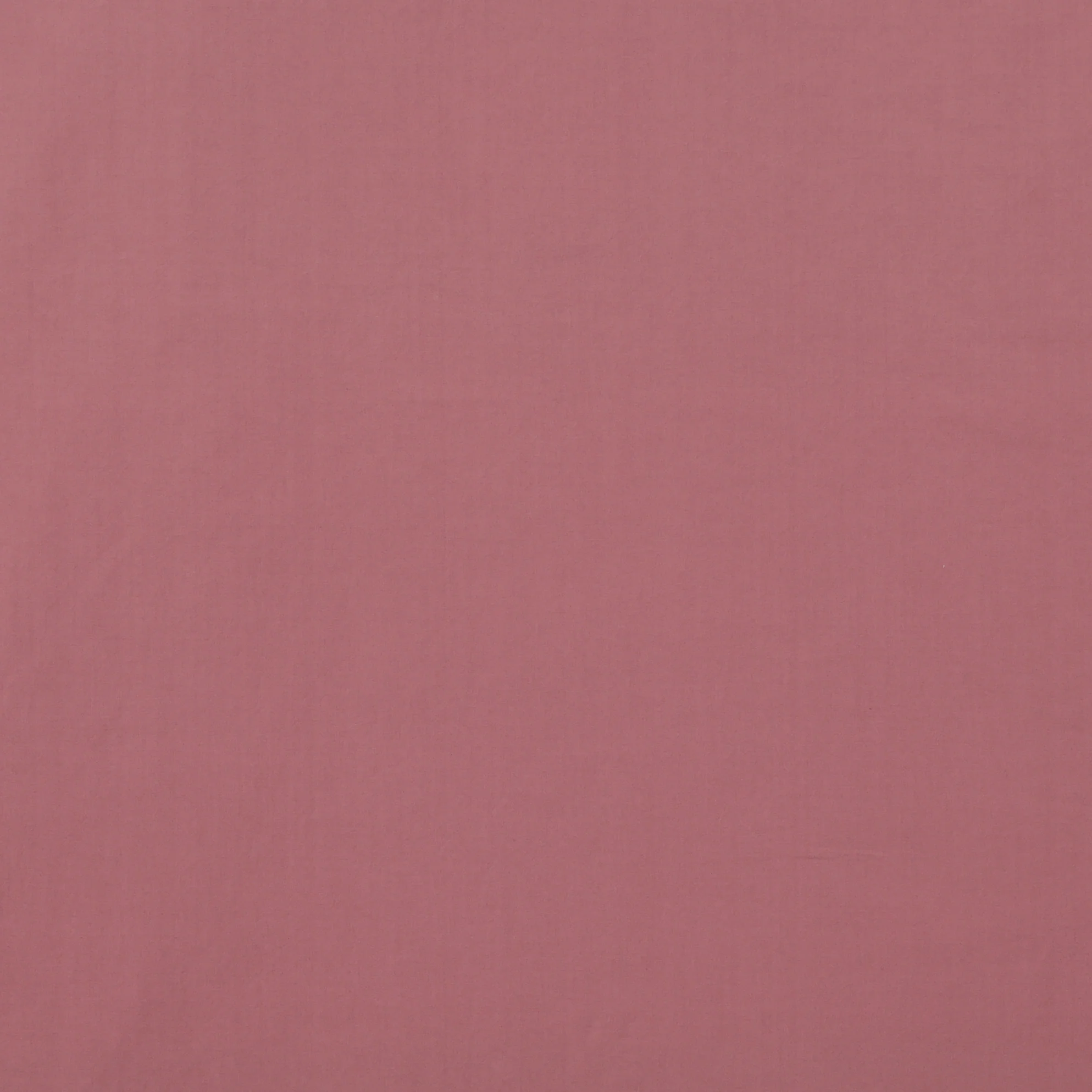 Cotton - Nova - Poplin - Washed Finish - Assorted - Image 3